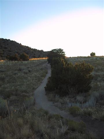 A winding dirt path leads through a grassy landscape, bordered by shrubs and trees, with a hillside in the background under a soft, evening light. Sandia Mountains Foothill Trail mountain bike trail.