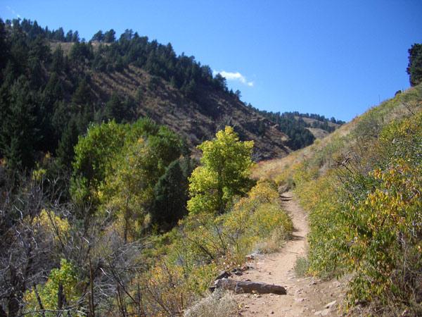 A winding dirt trail cuts through a scenic landscape, bordered by vibrant green and golden foliage. Rocky terrain is visible alongside the path, with gentle hills rising on either side, under a clear blue sky. Apex Park mountain bike trail.