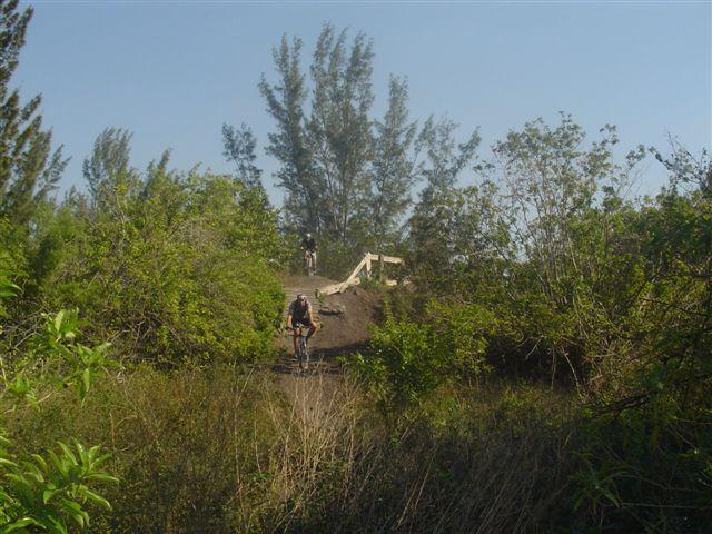 A mountain biker navigating a dirt trail surrounded by lush greenery, with a wooden bridge visible in the background. Sunlight filters through the trees, creating a vibrant outdoor scene. Markham Park mountain bike trail.