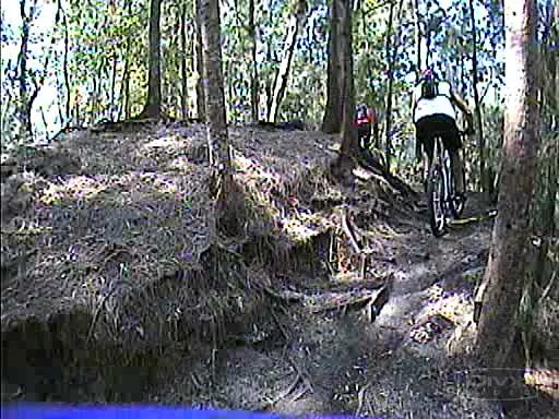 Mountain bikers navigate a trail through a forested area, with one rider ascending a steep, earthy path surrounded by tall trees and foliage. Markham Park mountain bike trail.