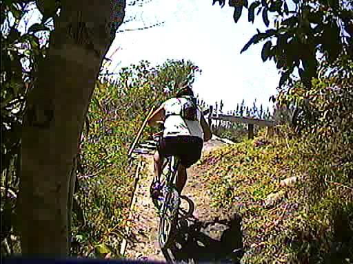 A person riding a mountain bike up a narrow, wooded trail surrounded by greenery and trees. The sunlight is bright, creating a vibrant outdoor scene. Markham Park mountain bike trail.