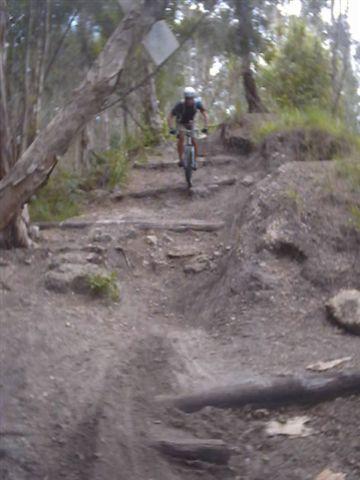 A mountain biker navigates a rocky trail surrounded by trees, riding downhill on a dirt path with obstacles like logs and stones. Markham Park mountain bike trail.