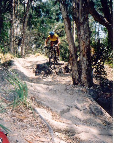 A cyclist wearing a yellow shirt and blue helmet rides a mountain bike over a rocky trail in a wooded area. Trees and bushes surround the path, creating a natural landscape. The cyclist is focused and in mid-action, navigating the terrain. Markham Park mountain bike trail.