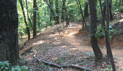 A winding dirt path through a wooded area, surrounded by tall trees and underbrush, with sunlight filtering through the leaves. Blankets Creek mountain bike trail.