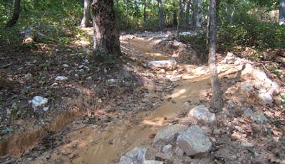 A winding dirt trail through a wooded area, surrounded by trees and scattered rocks, under dappled sunlight. Blankets Creek mountain bike trail.