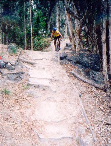 A mountain biker riding up a rocky path surrounded by trees, demonstrating skill as they navigate the uneven terrain. The trail features natural stones and is lined with foliage. Markham Park mountain bike trail.