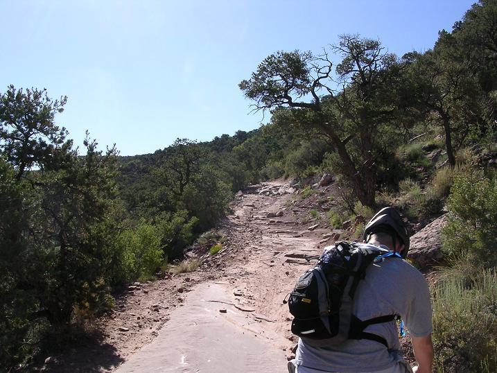 A hiker wearing a helmet and backpack is seen from behind as they navigate a rocky trail surrounded by trees and shrubs under a clear blue sky. The path is uneven and winds through a scenic landscape. Porcupine Rim mountain bike trail.