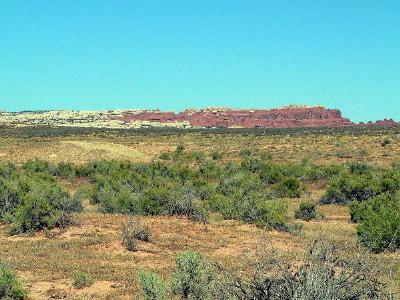 A wide landscape view featuring a desert scene with a foreground of low shrubs and grasses, leading up to a distant plateau with layered rock formations in shades of red and white against a clear blue sky. Klondike Bluffs mountain bike trail.