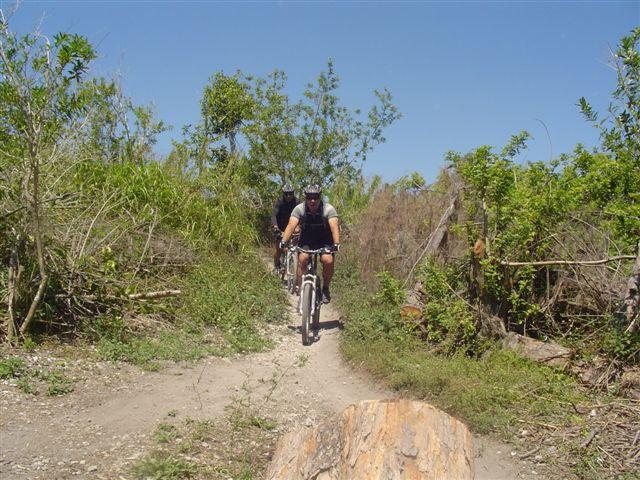 Two mountain bikers riding on a narrow dirt trail surrounded by greenery under a clear blue sky. The trail features some natural obstacles, including a fallen log. The scene captures the outdoor adventure and active lifestyle of mountain biking. Markham Park mountain bike trail.