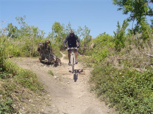 A mountain biker performing a jump over a log on a dirt trail, surrounded by greenery and a clear blue sky. Markham Park mountain bike trail.
