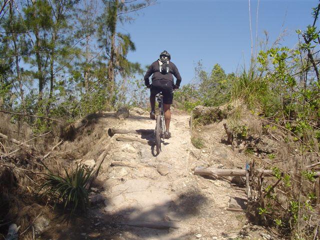 A cyclist riding up a rocky, uneven trail surrounded by greenery and trees under a clear blue sky. Markham Park mountain bike trail.