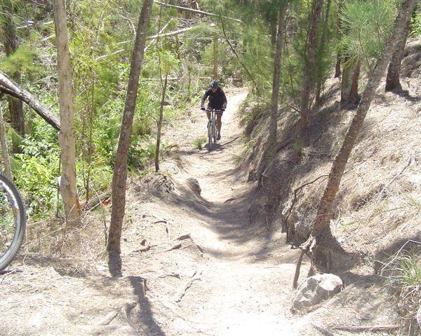 A mountain biker riding along a narrow dirt trail surrounded by trees and vegetation in a forested area. The path is uneven with roots and rocks visible, indicating a rugged biking experience. Markham Park mountain bike trail.