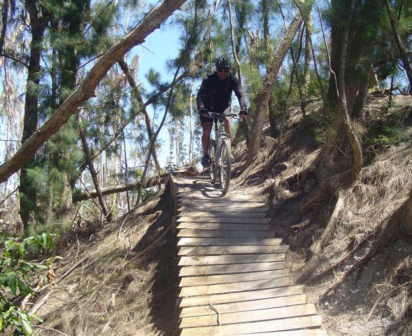 A mountain biker navigating a wooden plank bridge on a steep trail surrounded by trees. Sunlight filters through the foliage, creating dappled shadows on the path. The biker is wearing a helmet and a dark jacket, focused on the trail ahead. Markham Park mountain bike trail.