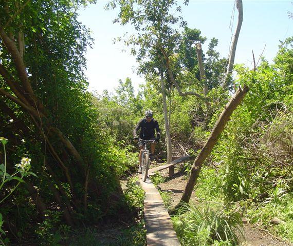 A cyclist riding a mountain bike along a narrow wooden path surrounded by dense greenery and trees in a natural setting. Markham Park mountain bike trail.