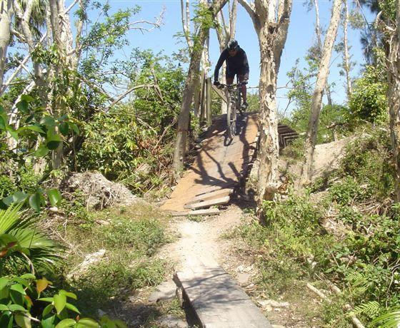 A mountain biker in a black outfit jumps off a wooden ramp in a wooded area, surrounded by green foliage and trees. The path is dirt and boardwalks, indicating a trail suitable for biking. The scene captures a moment of action and adventure in a natural setting. Markham Park mountain bike trail.