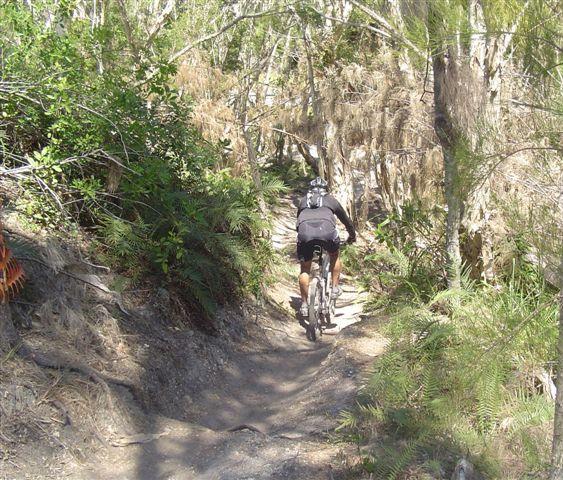 A mountain biker navigating a narrow dirt trail surrounded by dense greenery and trees on a sunny day. Markham Park mountain bike trail.
