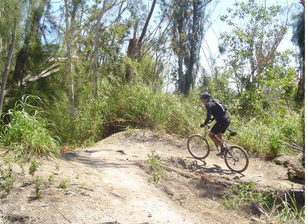 A person riding a mountain bike along a dirt trail surrounded by dense greenery and tall grass in a sunny outdoor setting. Markham Park mountain bike trail.