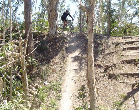 A mountain biker in a black outfit performs a jump off a dirt ramp surrounded by trees. The trail leads downhill with visible tire tracks on the path, illustrating an adventurous outdoor scene. Markham Park mountain bike trail.
