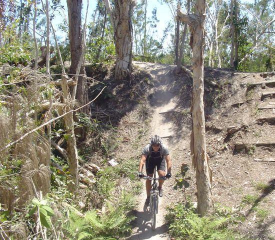 A mountain biker navigating a dirt trail surrounded by trees in a forested area. The path is uneven, featuring a slope in the background and greenery flanking the sides. Markham Park mountain bike trail.