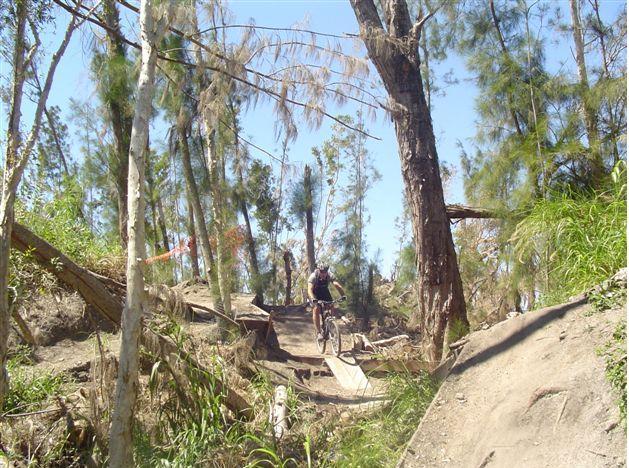 A mountain biker navigates a narrow wooden bridge in a forested area, surrounded by tall trees and lush greenery under a clear blue sky. The trail appears rugged, indicating an adventurous off-road biking environment. Markham Park mountain bike trail.