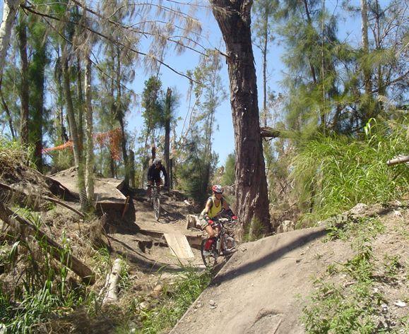 Two mountain bikers navigate a rugged trail through a wooded area, surrounded by trees and greenery. One rider is shown going uphill on a dirt path, while the other is descending a slope. The terrain features wooden ramps and obstacles, highlighting the adventurous nature of the biking activity. Markham Park mountain bike trail.