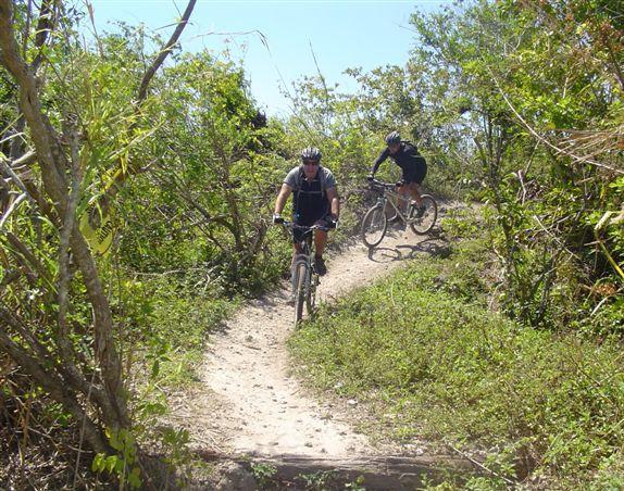 Two mountain bikers navigate a narrow dirt trail surrounded by dense greenery. The path winds through the vegetation, with one rider approaching from the foreground and another further back. The scene is set on a sunny day, showcasing the outdoor activity and natural surroundings. Markham Park mountain bike trail.