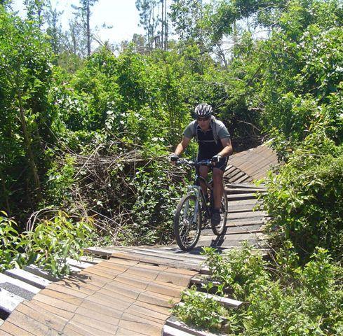A person riding a mountain bike on a narrow, elevated wooden trail surrounded by dense greenery and foliage. Markham Park mountain bike trail.