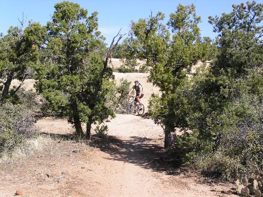 A cyclist riding a mountain bike along a dirt path surrounded by trees and shrubs in a natural landscape. Gooseberry Mesa mountain bike trail.