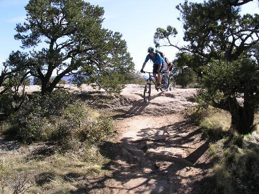 A mountain biker navigating a rocky trail surrounded by trees and shrubs under a clear blue sky. The cyclist is in mid-air, having just jumped over a small ridge on the trail. Gooseberry Mesa mountain bike trail.