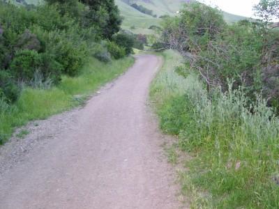 A winding dirt path surrounded by lush greenery and shrubs, leading through a scenic outdoor landscape with rolling hills in the background. Alum Rock County Park mountain bike trail.