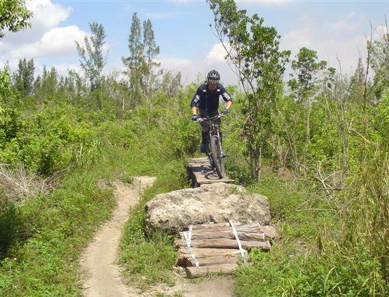 A mountain biker navigating a dirt trail, jumping over a makeshift wooden bridge supported by a large rock, surrounded by lush greenery and trees under a partly cloudy sky. Markham Park mountain bike trail.