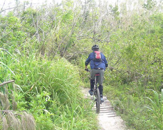 A person riding a mountain bike on a narrow, wooden trail surrounded by dense greenery. The cyclist is wearing a helmet and a backpack, navigating through a natural landscape with overgrown grass and shrubs. Markham Park mountain bike trail.