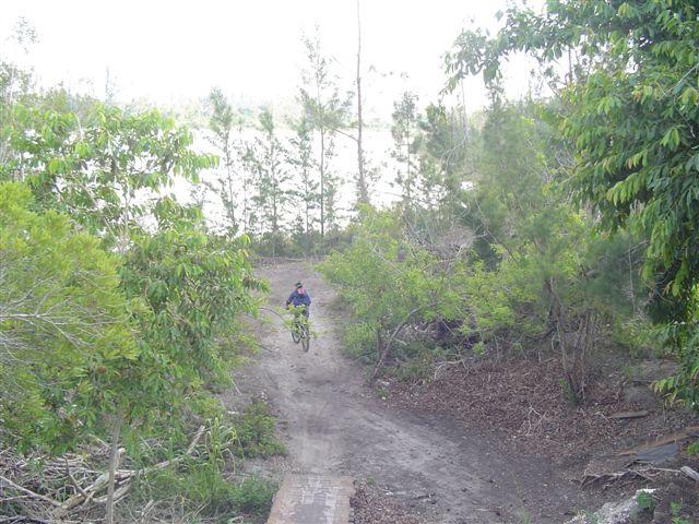 A person riding a bicycle along a dirt path surrounded by lush greenery and trees. The scene captures a natural environment, with the rider positioned mid-ride on a small incline, with a blurred background of trees and foliage. Markham Park mountain bike trail.