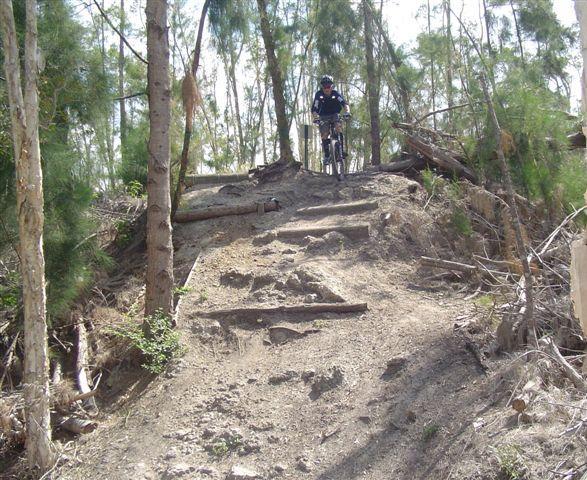 A mountain biker navigates a dirt trail in a wooded area, ascending a series of rough steps made from logs and dirt. Surrounding the trail are tall trees and patches of greenery, creating a natural outdoor setting. Markham Park mountain bike trail.