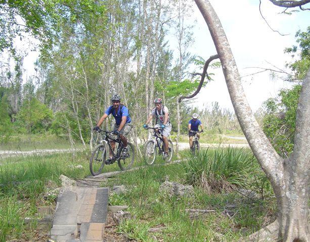 Three mountain bikers are riding along a trail through a wooded area. The path features a small wooden bridge, surrounded by greenery and trees. The riders are wearing helmets and casual riding attire, with two of them in blue shirts and one in a light-colored shirt. The scene is sunny and depicts a peaceful outdoor environment. Markham Park mountain bike trail.