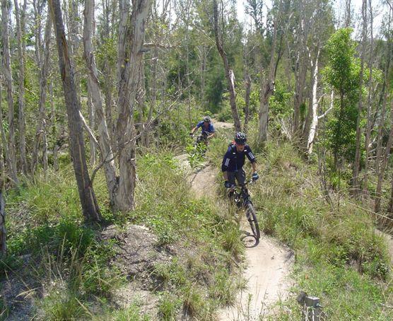 Two mountain bikers riding along a dirt trail through a wooded area. The path winds between tall trees and lush greenery, showcasing an outdoor adventure scene. One rider is in the foreground, while the other is visible in the background. Markham Park mountain bike trail.