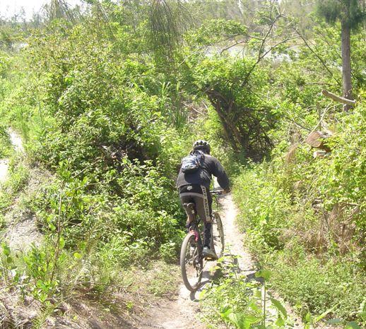 A person riding a mountain bike on a narrow trail surrounded by dense greenery and plants. The cyclist is seen from behind, navigating through a natural landscape with trees and foliage on either side. Markham Park mountain bike trail.