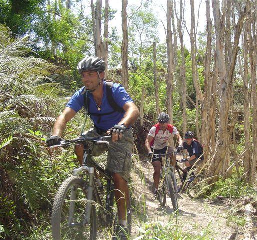 Three mountain bikers navigate a dirt trail surrounded by tall trees and lush greenery. One rider in the foreground smiles as he pedals, wearing a helmet, blue shirt, and camouflage shorts. The other two bikers follow closely behind, focused on the path ahead. Sunlight filters through the trees, highlighting the vibrant nature around them. Markham Park mountain bike trail.