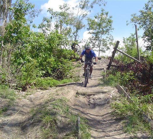 A mountain biker rides down a dirt path surrounded by lush greenery and trees, with a blue sky and fluffy clouds visible above. The trail includes uneven terrain, adding excitement to the biking experience. Markham Park mountain bike trail.