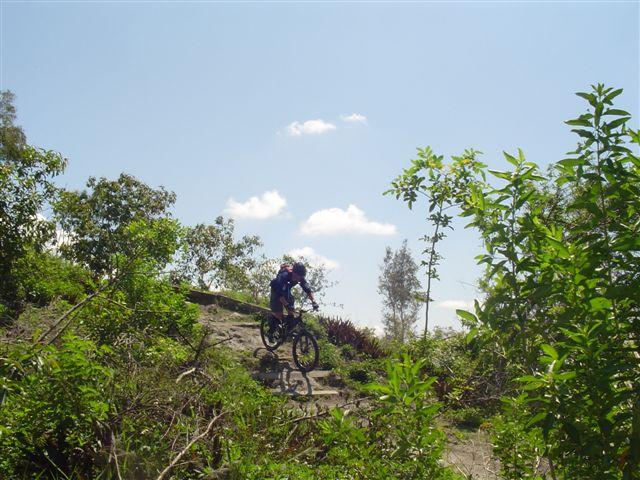 A mountain biker navigating a rocky trail surrounded by lush greenery under a clear blue sky. Markham Park mountain bike trail.