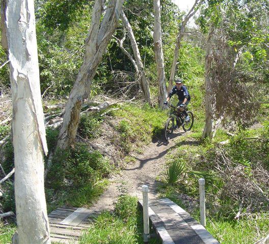 A person riding a mountain bike along a dirt trail surrounded by lush greenery and trees, with a small wooden bridge crossing a ditch in the foreground. Markham Park mountain bike trail.