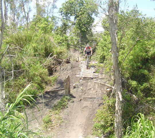 A mountain biker navigating a rugged trail through dense greenery, jumping off a wooden plank bridge over a dirt path surrounded by plants and trees. Markham Park mountain bike trail.
