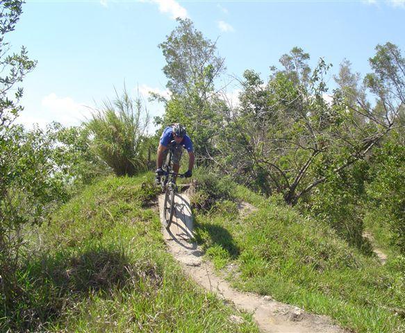 A mountain biker in a blue shirt navigates a narrow dirt path on a grassy hill surrounded by trees under a clear blue sky. Markham Park mountain bike trail.