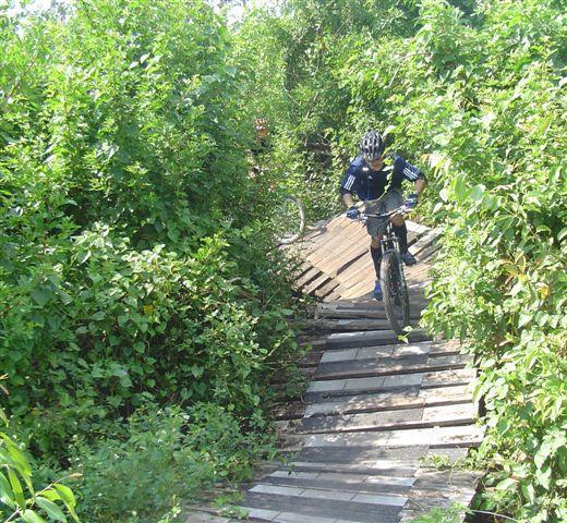 A mountain biker navigating a narrow wooden path through dense greenery. The trail is surrounded by lush vegetation, with the cyclist focused on maintaining balance while riding. Markham Park mountain bike trail.