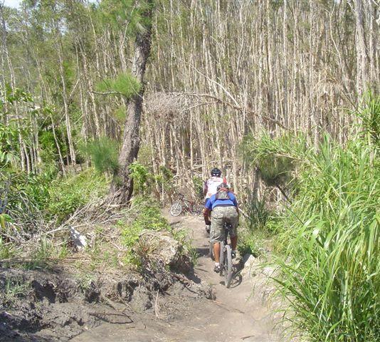 Two mountain bikers riding down a narrow dirt trail surrounded by lush greenery and tall trees. The path is winding through a forested area, with vegetation on both sides. The sun is shining, creating a bright atmosphere for outdoor cycling. Markham Park mountain bike trail.