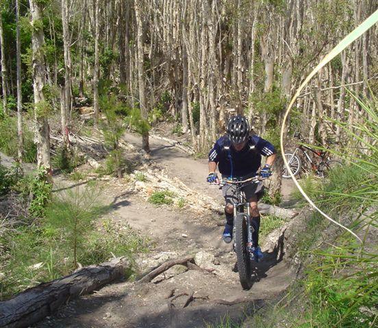 A mountain biker navigating a rocky trail in a wooded area, surrounded by trees. The cyclist is wearing a helmet and protective gear, focused on maintaining balance while riding over uneven terrain. A second bike is visible in the background, partially obscured by foliage. Markham Park mountain bike trail.
