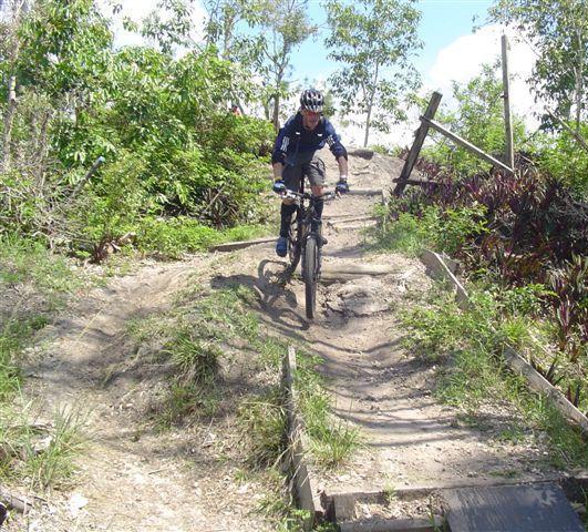 A mountain biker riding down a rugged trail surrounded by greenery, with a clear blue sky overhead. The terrain includes dirt, rocks, and wooden planks, indicating a challenging biking route. Markham Park mountain bike trail.