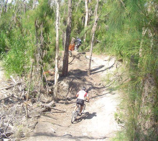 A mountain biker navigates a winding dirt trail amidst tall trees and dense vegetation, while another cyclist is in the background, preparing to ride over a small jump. The scene captures a sunny day in a natural outdoor setting, ideal for biking enthusiasts. Markham Park mountain bike trail.