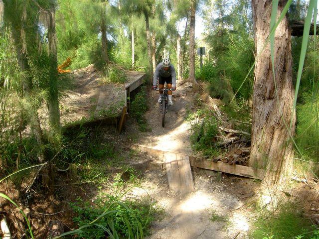 A cyclist riding a mountain bike down a dirt trail in a wooded area, with wooden ramps and lush greenery surrounding the path. The cyclist is wearing a helmet and appropriate riding gear, navigating a small drop-off in the terrain. Markham Park mountain bike trail.