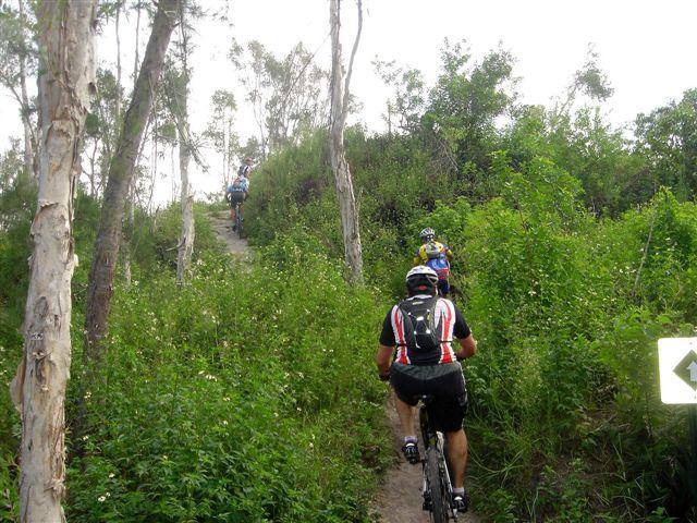 Mountain bikers riding along a narrow, dirt trail surrounded by lush greenery and trees, with the path ascending in the background. Markham Park mountain bike trail.